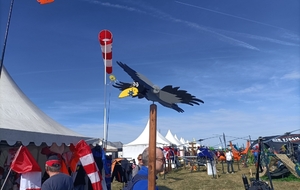 68c5997c51245_IMG20250906113808.jpg