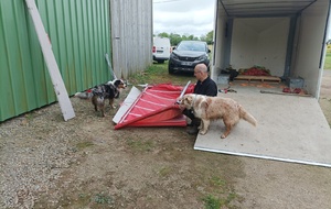 Même les toutous donnent un coup de main !