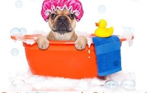 Journée de printemps à Ambrières