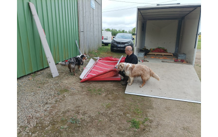 Même les toutous donnent un coup de main !